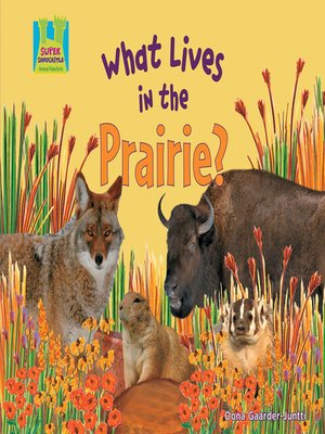 cover image of What Lives in the Prairie?